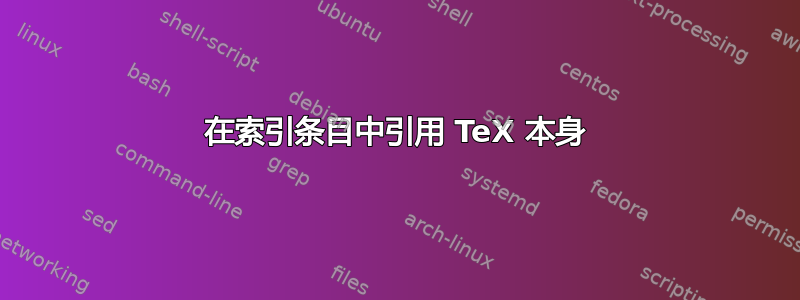 在索引条目中引用 TeX 本身