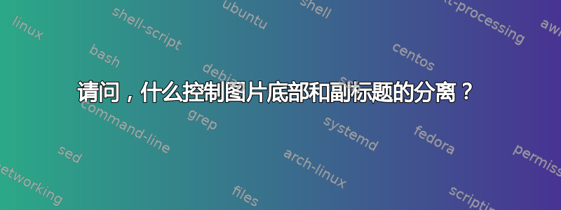 请问，什么控制图片底部和副标题的分离？