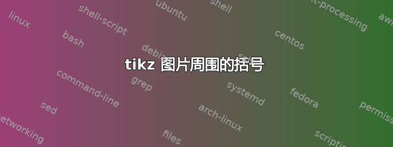 tikz 图片周围的括号