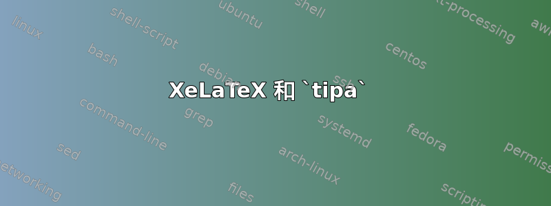 XeLaTeX 和 `tipa` 