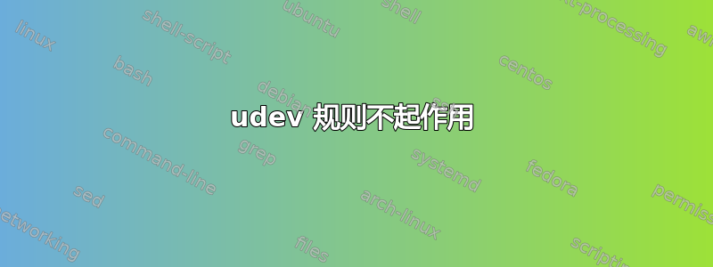 udev 规则不起作用