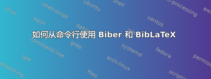 如何从命令行使用 Biber 和 BibLaTeX