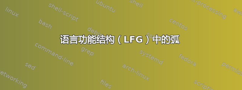 语言功能结构（LFG）中的弧