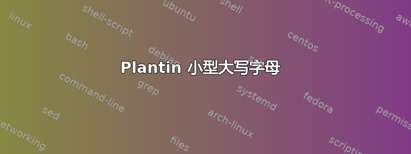 Plantin 小型大写字母 