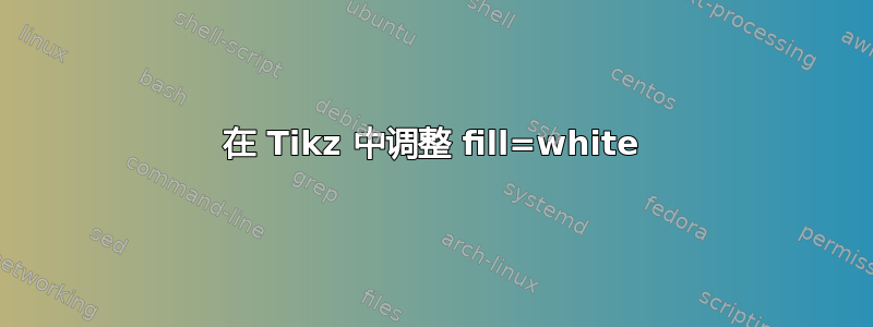 在 Tikz 中调整 fill=white