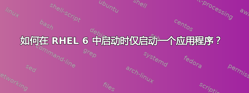 如何在 RHEL 6 中启动时仅启动一个应用程序？ 