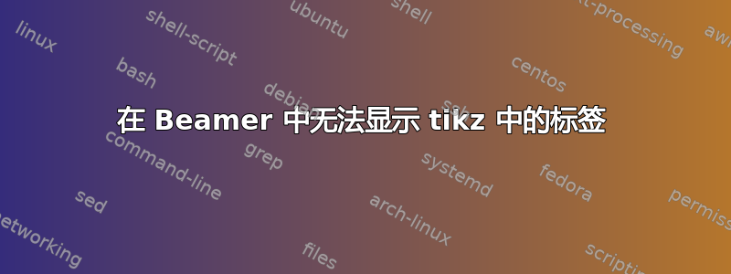 在 Beamer 中无法显示 tikz 中的标签