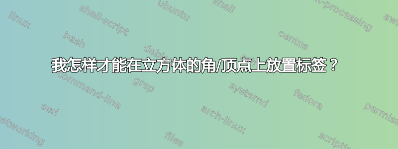 我怎样才能在立方体的角/顶点上放置标签？