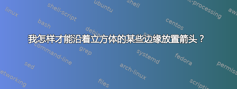 我怎样才能沿着立方体的某些边缘放置箭头？