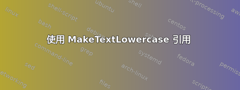 使用 MakeTextLowercase 引用