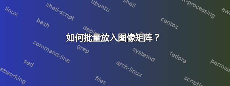 如何批量放入图像矩阵？