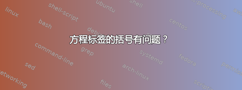 方程标签的括号有问题？