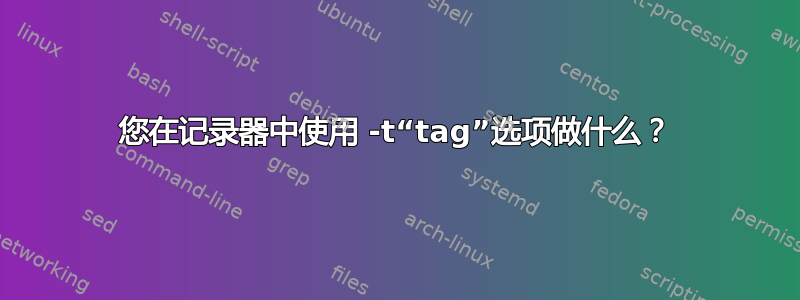 您在记录器中使用 -t“tag”选项做什么？