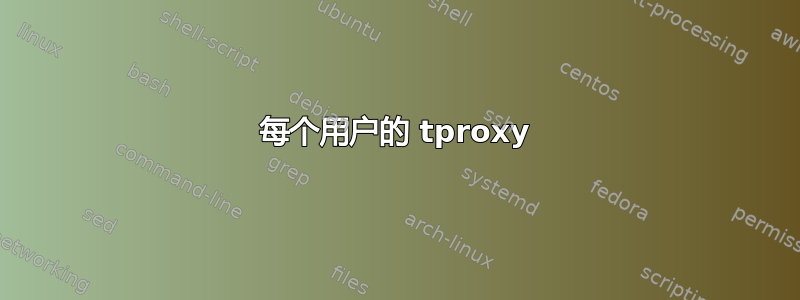 每个用户的 tproxy