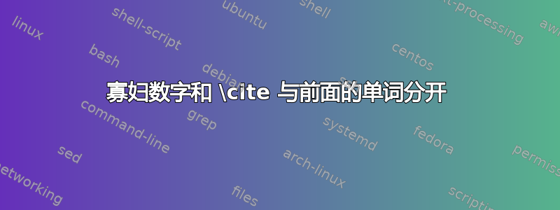 寡妇数字和 \cite 与前面的单词分开