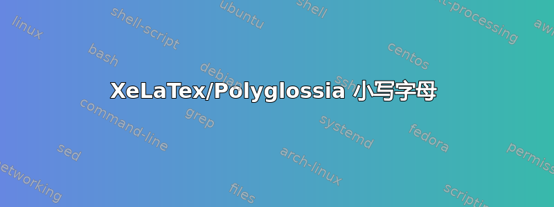 XeLaTex/Polyglossia 小写字母