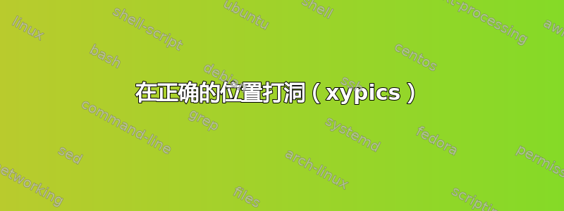 在正确的位置打洞（xypics）