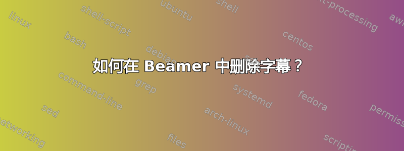 如何在 Beamer 中删除字幕？