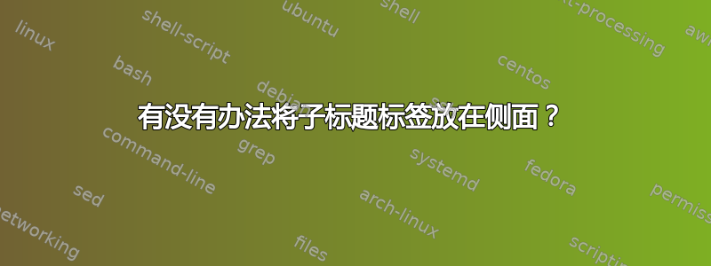 有没有办法将子标题标签放在侧面？