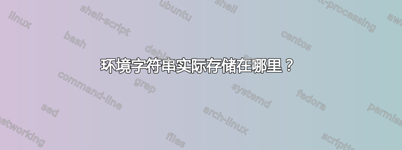 环境字符串实际存储在哪里？