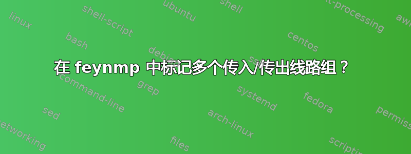 在 feynmp 中标记多个传入/传出线路组？