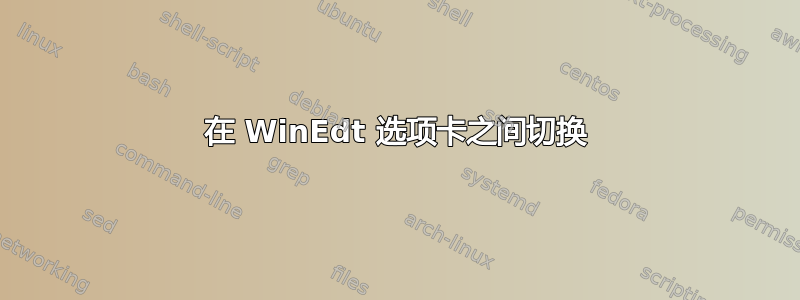 在 WinEdt 选项卡之间切换