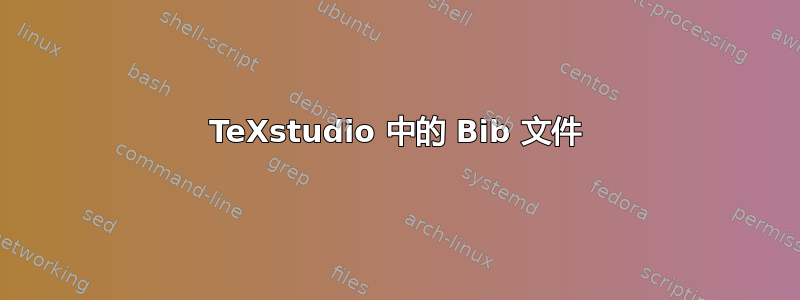 TeXstudio 中的 Bib 文件