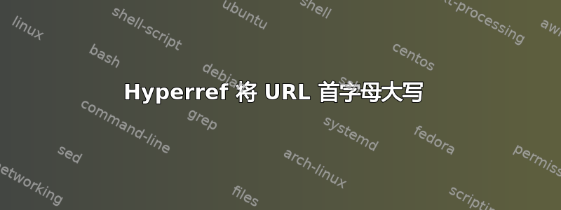 Hyperref 将 URL 首字母大写 