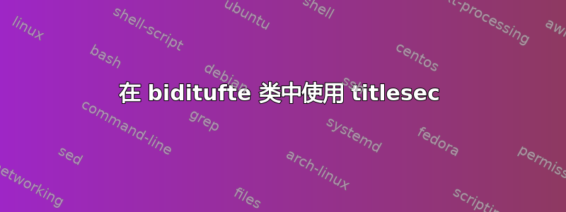 在 biditufte 类中使用 titlesec