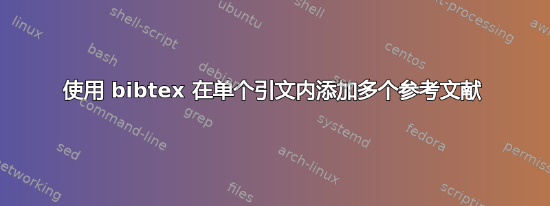 使用 bibtex 在单个引文内添加多个参考文献