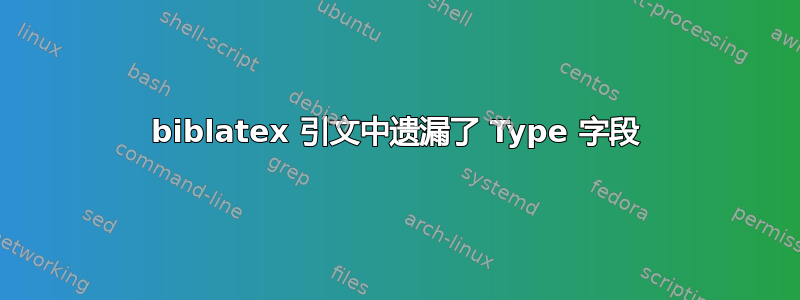 biblatex 引文中遗漏了 Type 字段