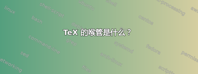 TeX 的喉管是什么？