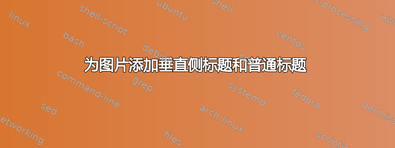 为图片添加垂直侧标题和普通标题