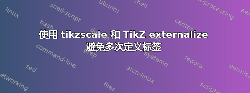 使用 tikzscale 和 TikZ externalize 避免多次定义标签