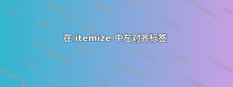 在 itemize 中左对齐标签