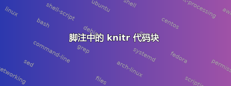 脚注中的 knitr 代码块