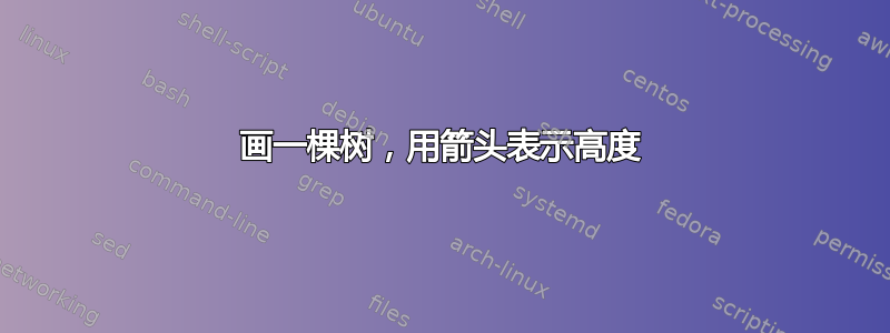 画一棵树，用箭头表示高度