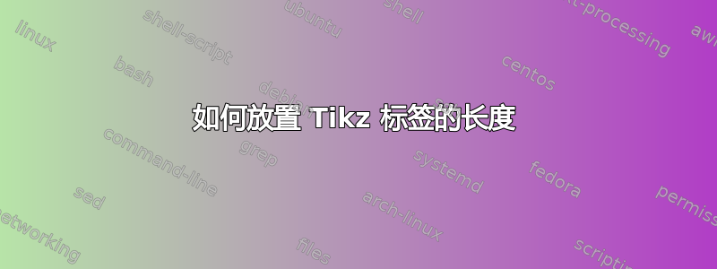 如何放置 Tikz 标签的长度