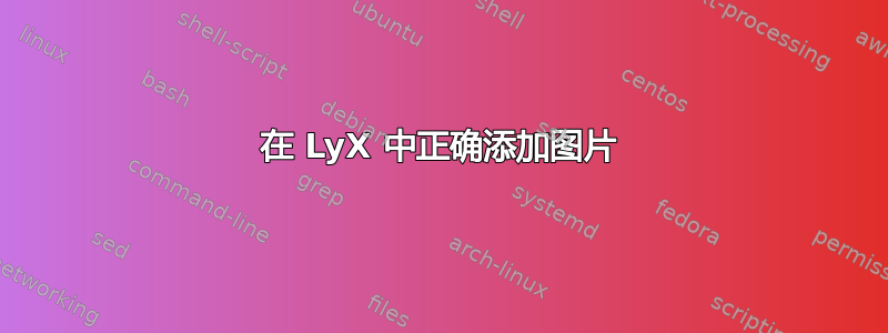 在 LyX 中正确添加图片