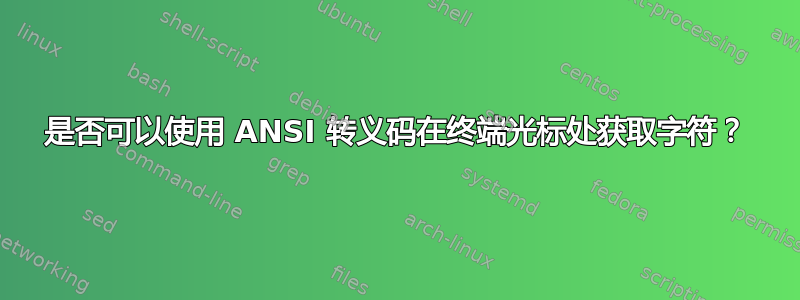 是否可以使用 ANSI 转义码在终端光标处获取字符？