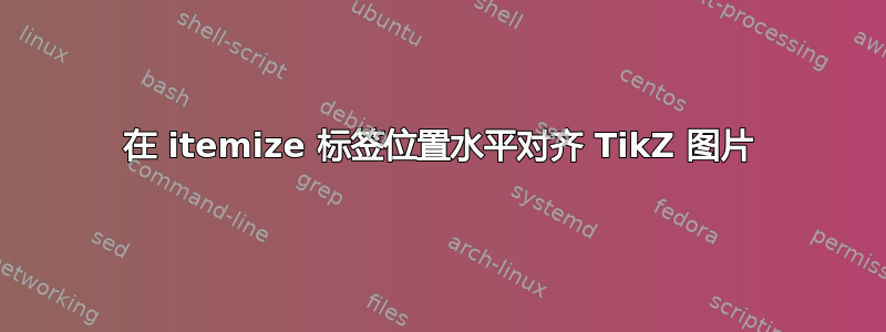 在 itemize 标签位置水平对齐 TikZ 图片