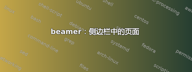 beamer：侧边栏中的页面