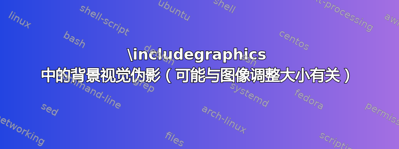 \includegraphics 中的背景视觉伪影（可能与图像调整大小有关）