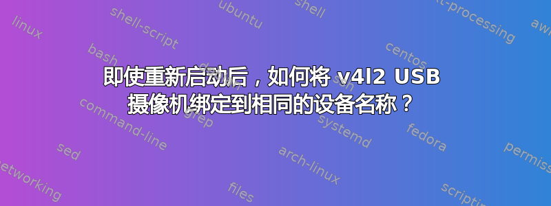 即使重新启动后，如何将 v4l2 USB 摄像机绑定到相同的设备名称？