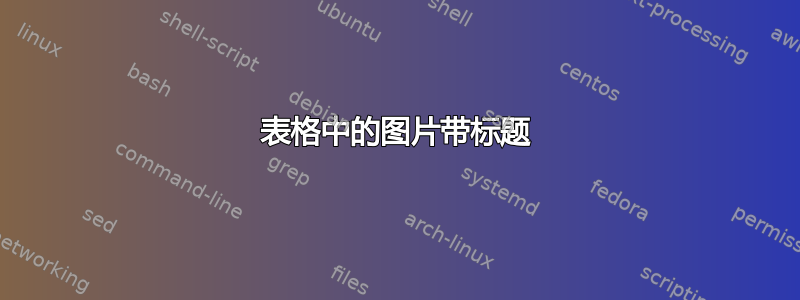 表格中的图片带标题