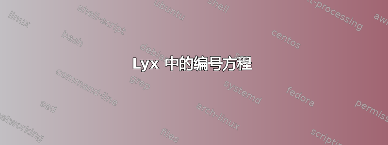 Lyx 中的编号方程