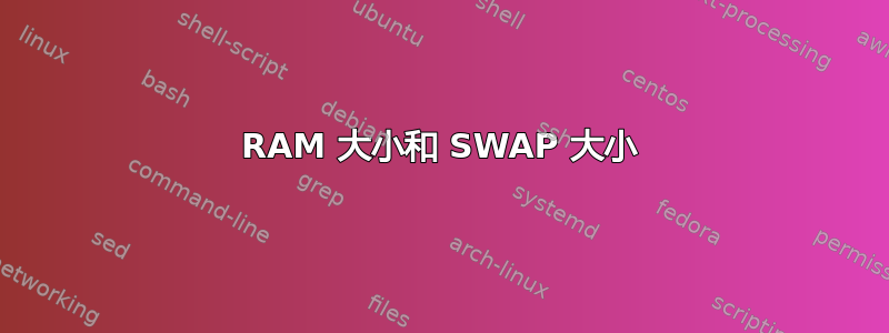 RAM 大小和 SWAP 大小