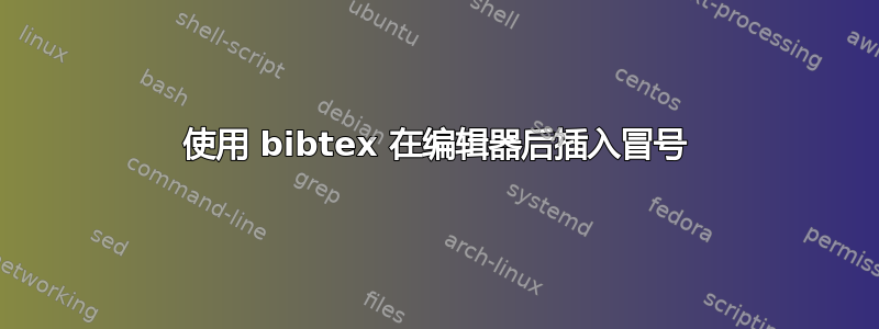 使用 bibtex 在编辑器后插入冒号