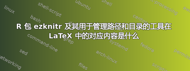 R 包 ezknitr 及其用于管理路径和目录的工具在 LaTeX 中的对应内容是什么