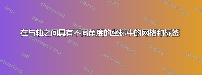 在与轴之间具有不同角度的坐标中的网格和标签